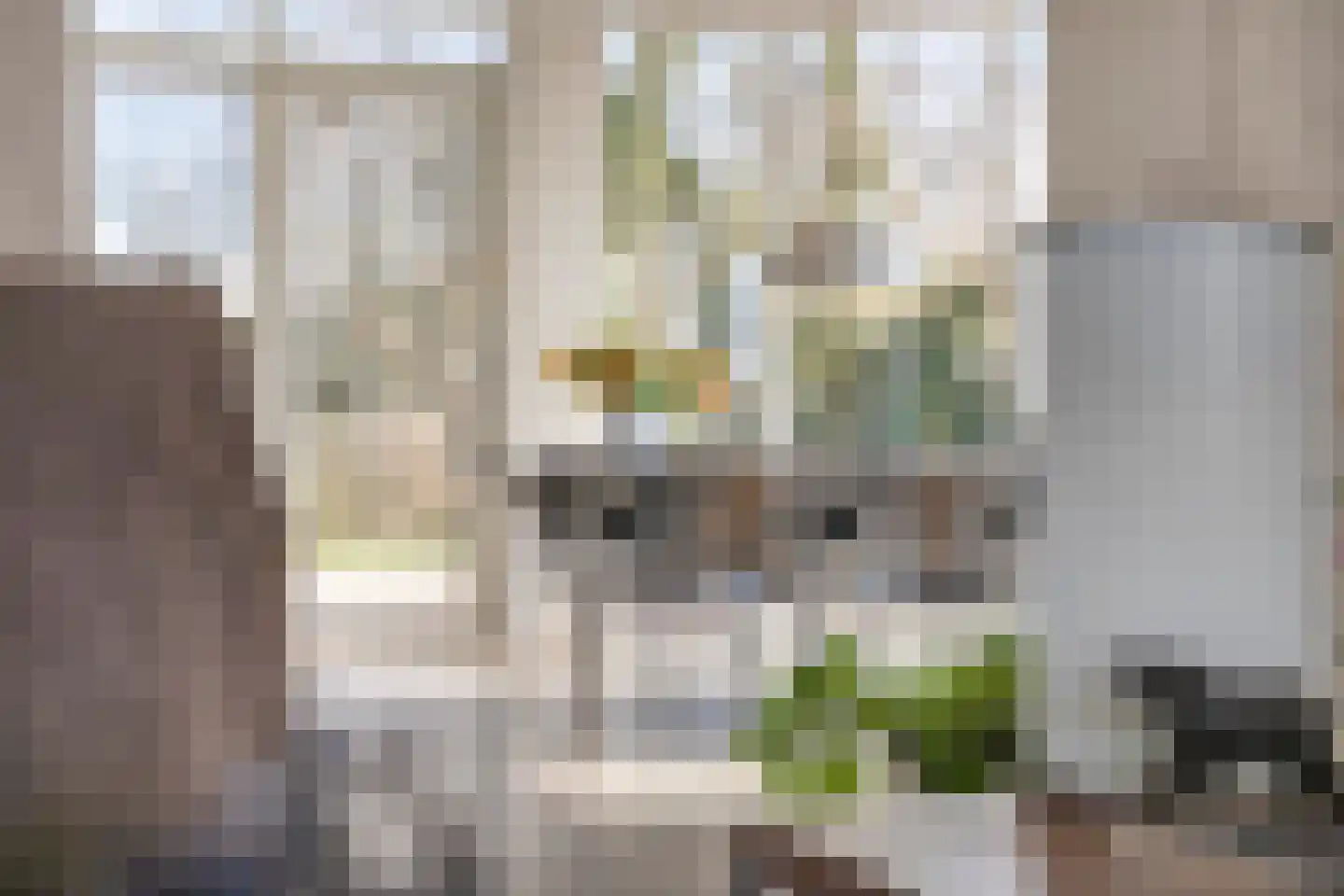 Graaf Lodewijklaan 9 Zwartsluis thumbnail 4