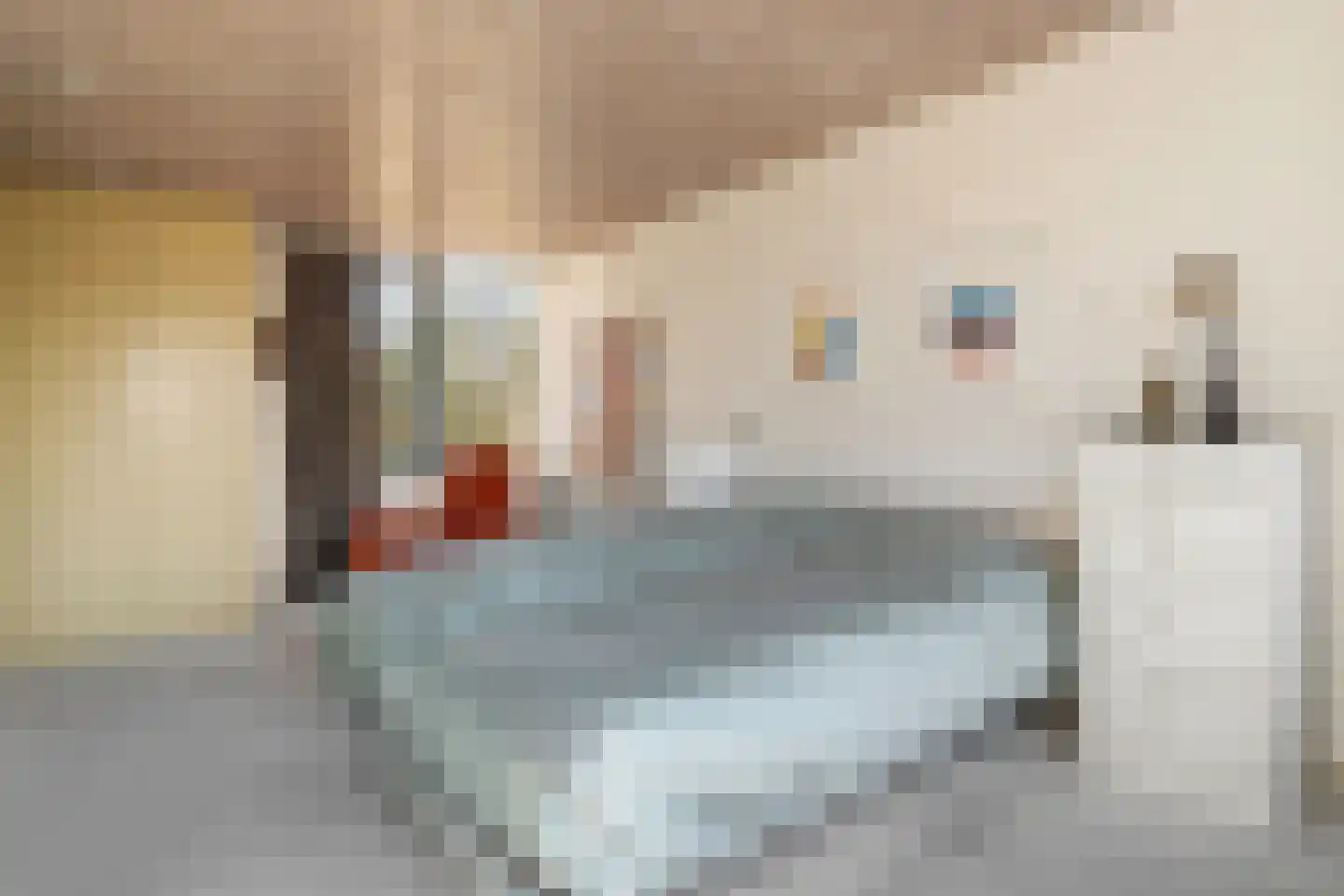 Graaf Lodewijklaan 9 Zwartsluis thumbnail 40