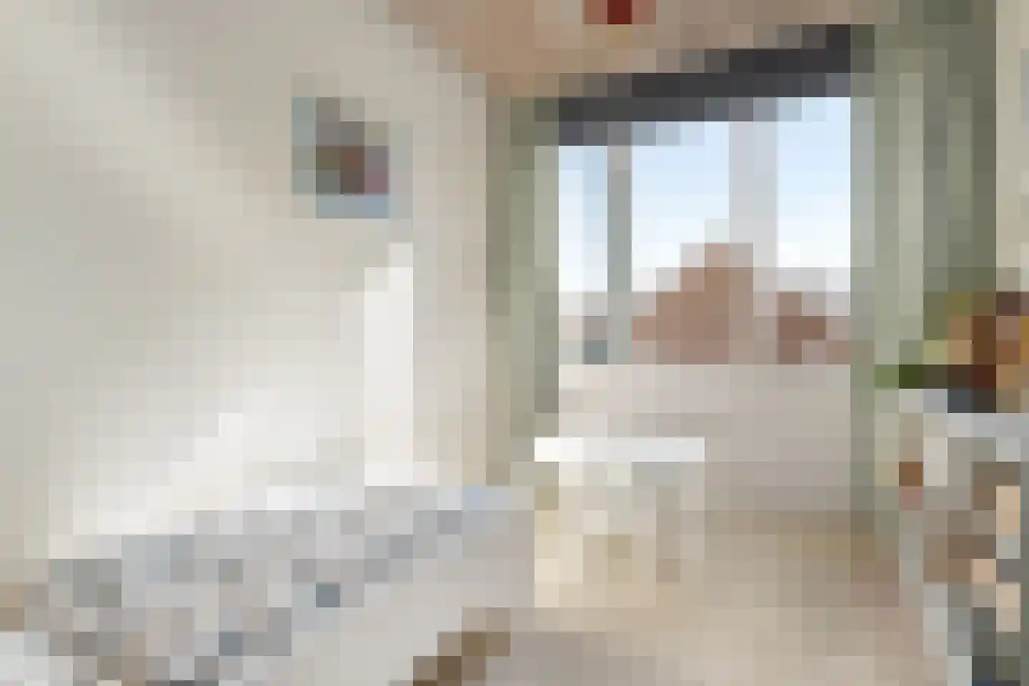 Graaf Lodewijklaan 9 Zwartsluis thumbnail 45
