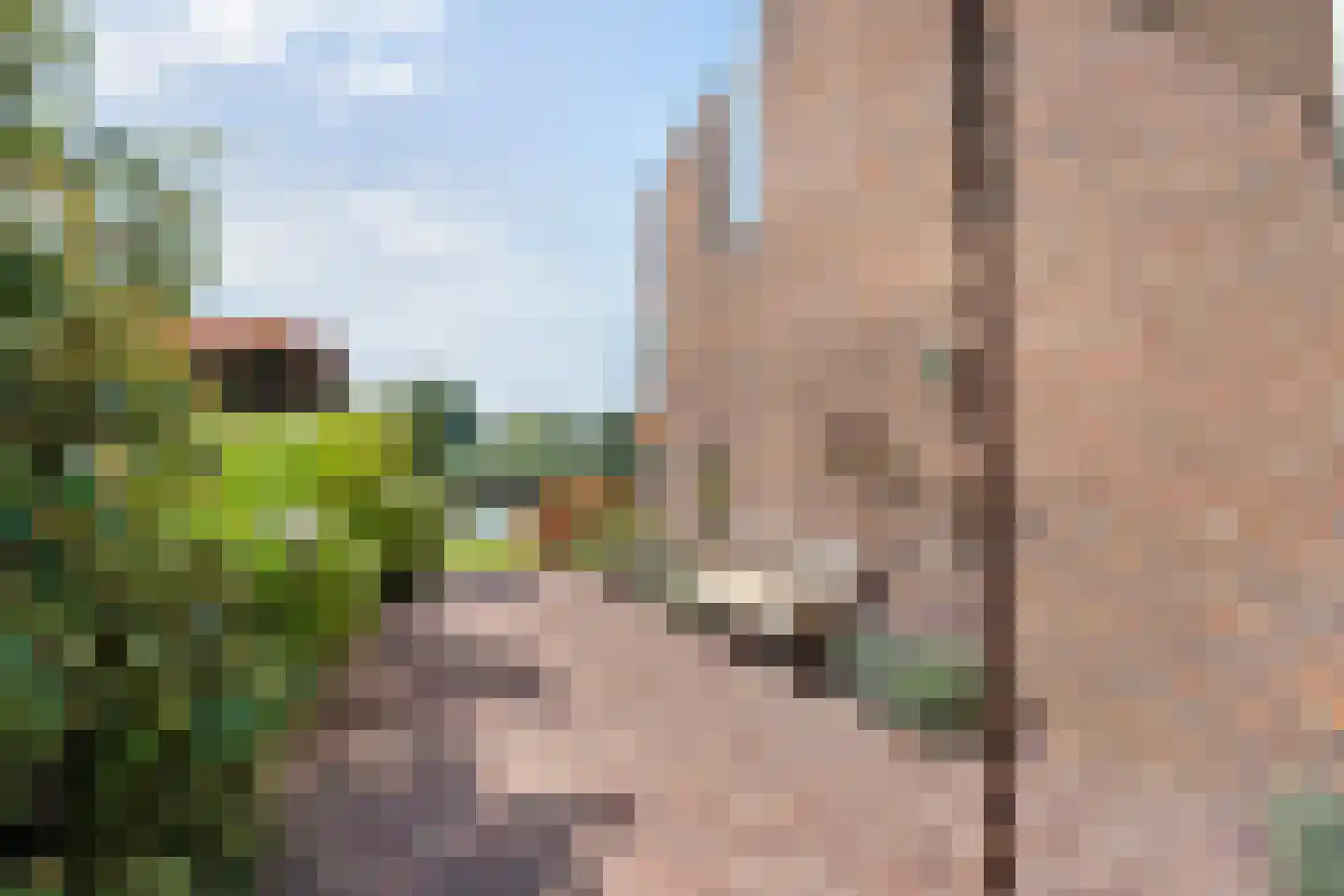 Graaf Lodewijklaan 9 Zwartsluis thumbnail 59