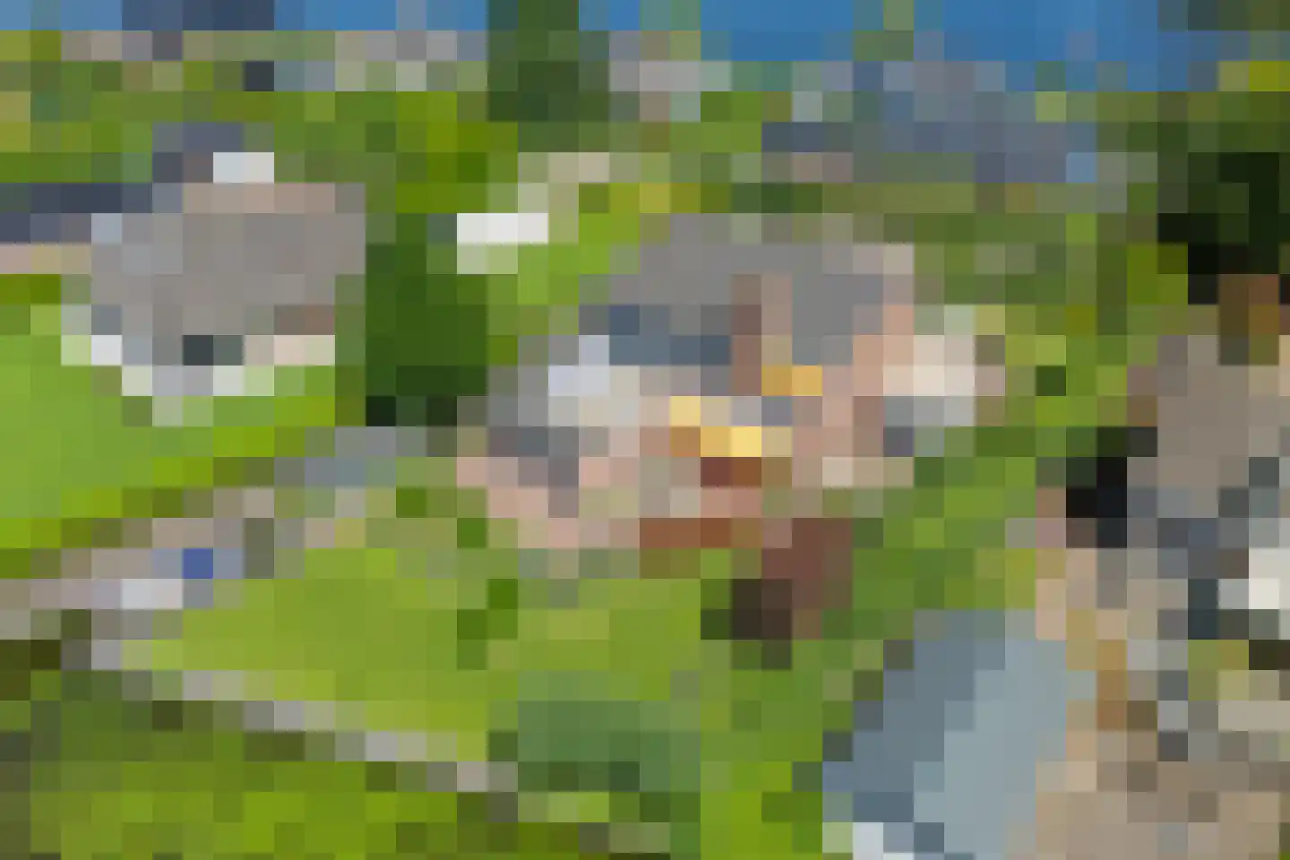 Graaf Lodewijklaan 9 Zwartsluis thumbnail 7