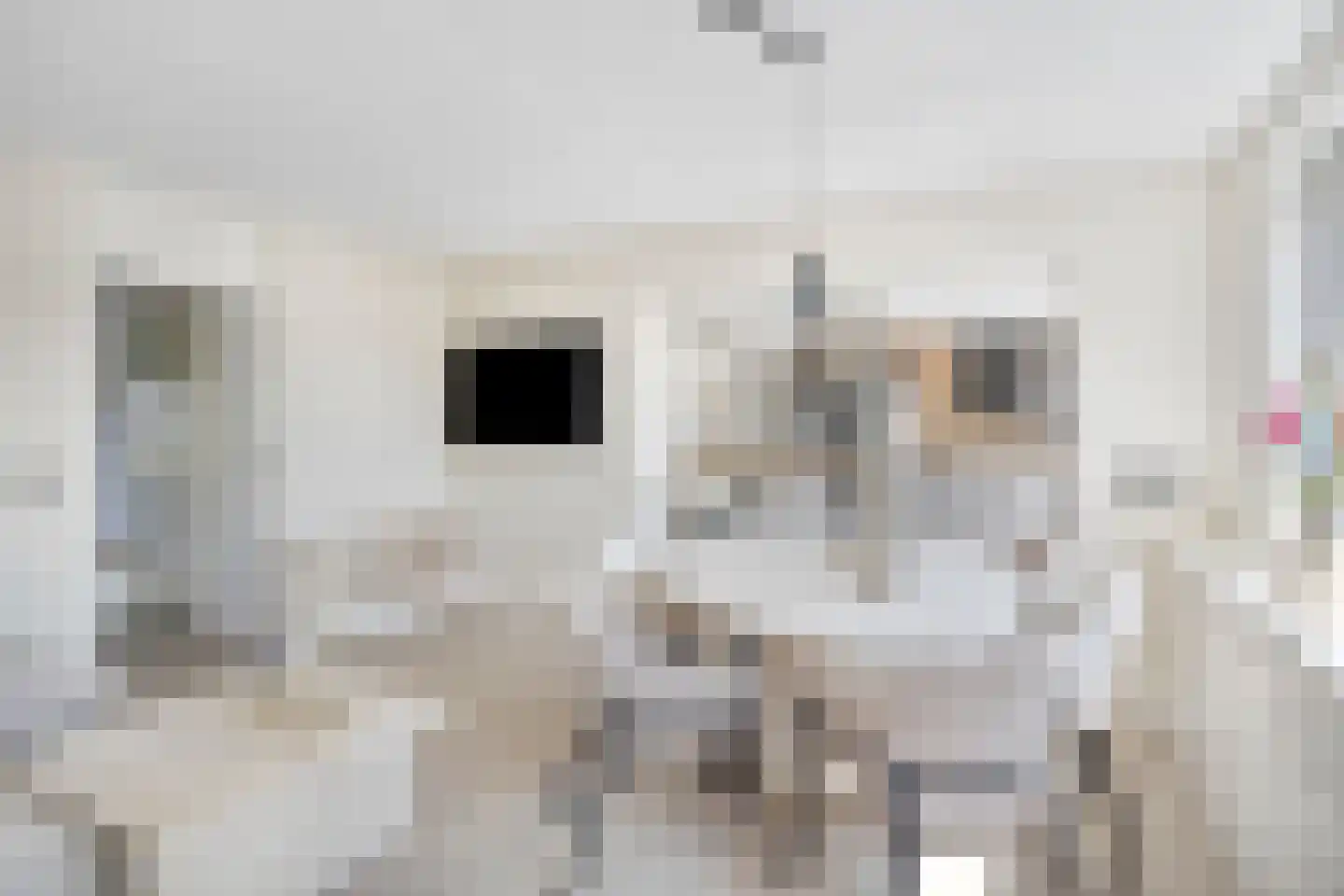 Graaf Lodewijklaan 95 Amersfoort thumbnail 4