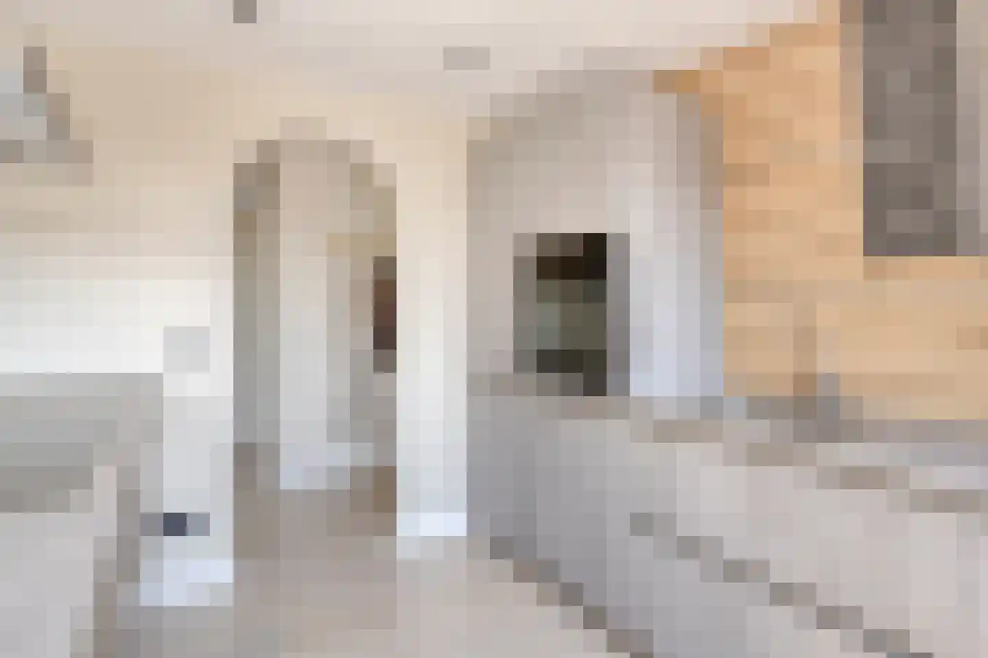 Graaf Lodewijklaan 95 Amersfoort thumbnail 9