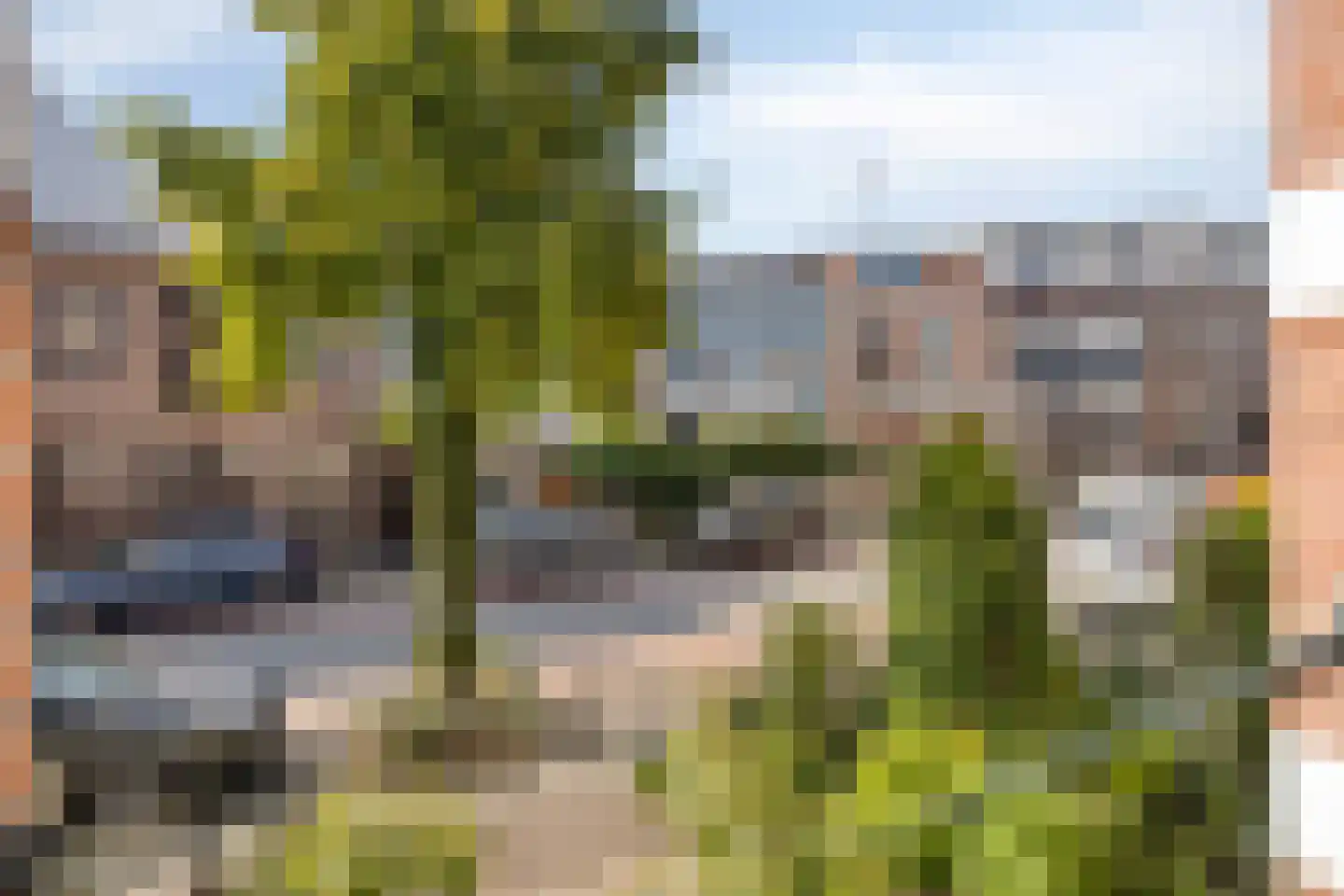 Graaf Lodewijkstraat 128 Arnhem thumbnail 25