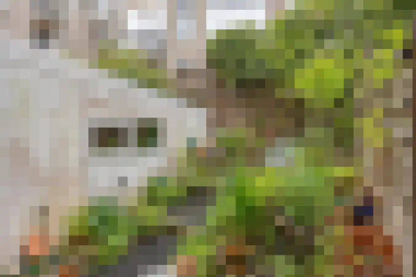 Graaf Lodewijkstraat 148 Arnhem thumbnail 27