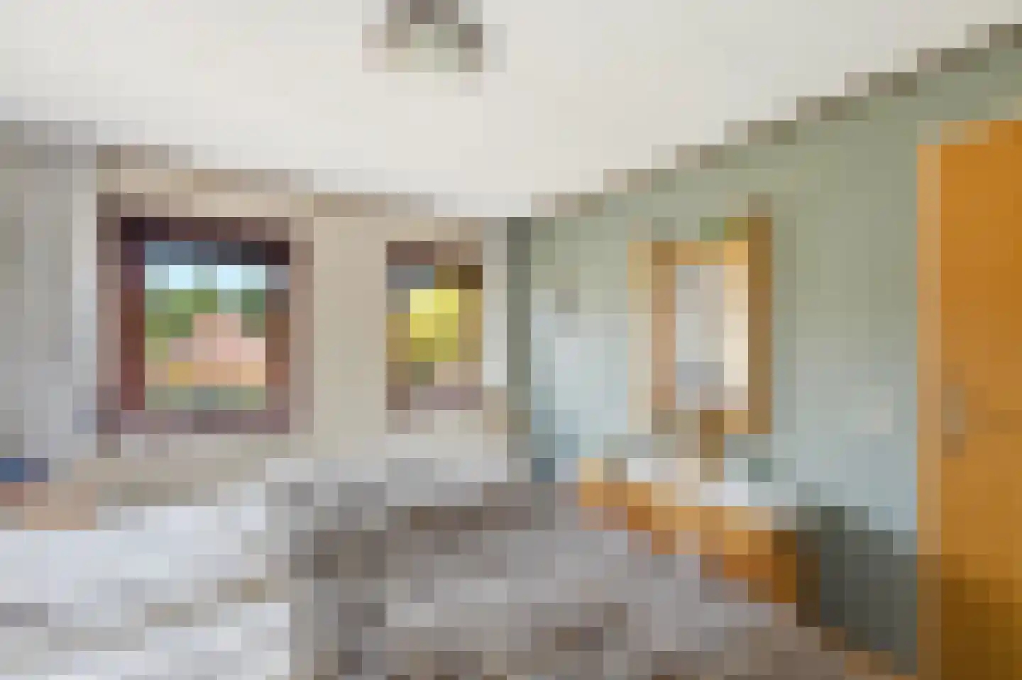 Graaf Lodewijkstraat 4 Ridderkerk thumbnail 18