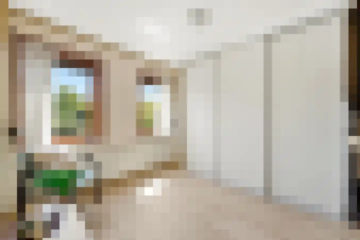 Graaf Lodewijkstraat 4 Ridderkerk thumbnail 20