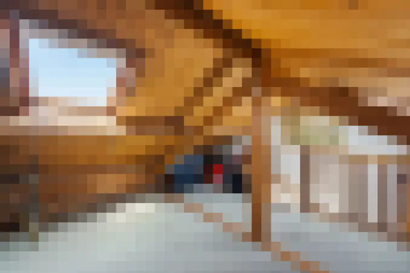 Graaf Lodewijkstraat 4 Ridderkerk thumbnail 30