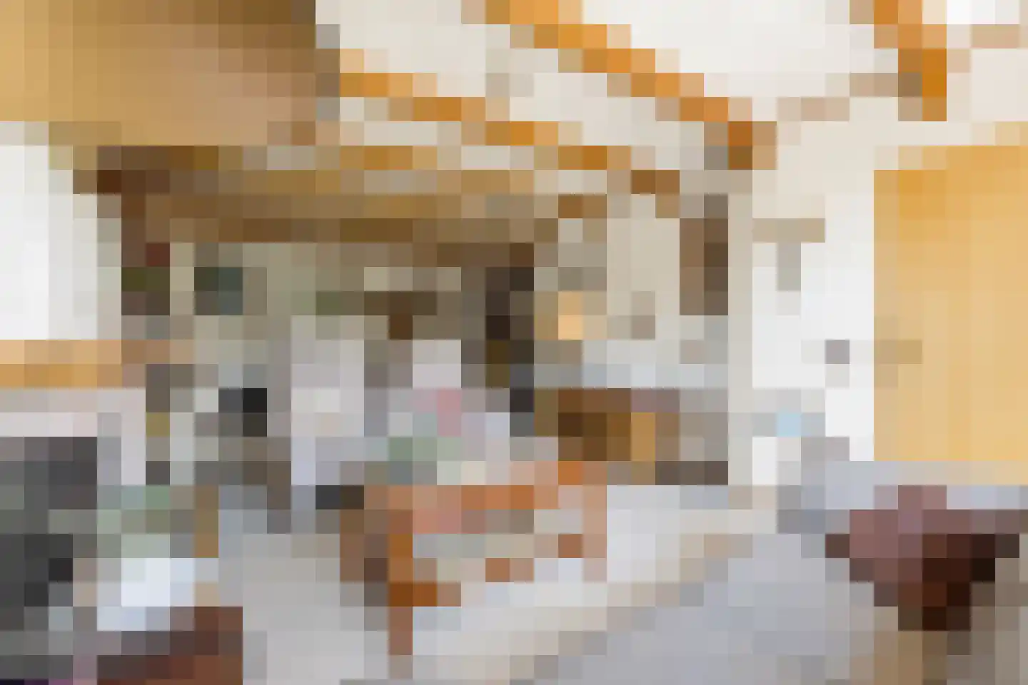 Graaf Lodewijkstraat 4 Ridderkerk thumbnail 4