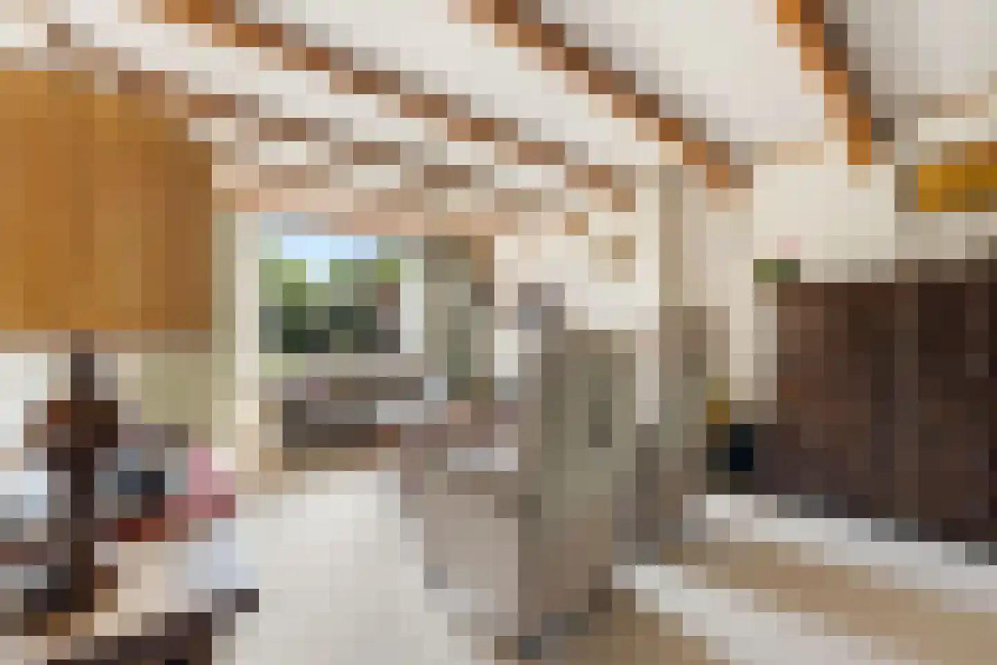 Graaf Lodewijkstraat 4 Ridderkerk thumbnail 5