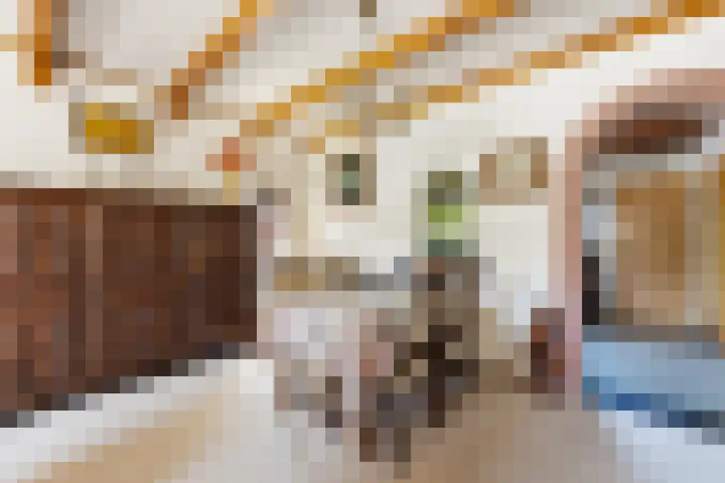 Graaf Lodewijkstraat 4 Ridderkerk thumbnail 6