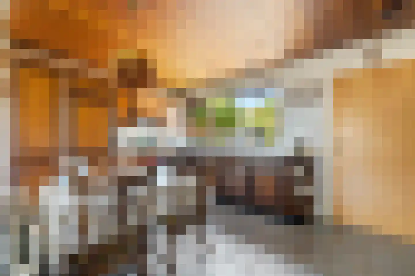 Graaf Lodewijkstraat 4 Ridderkerk thumbnail 8