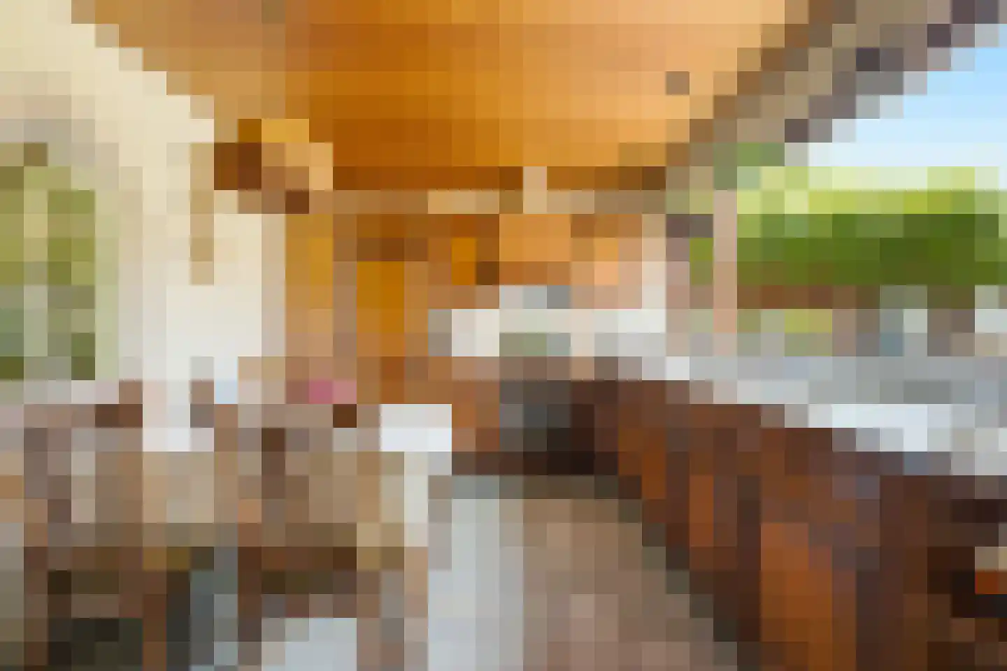Graaf Lodewijkstraat 4 Ridderkerk thumbnail 9