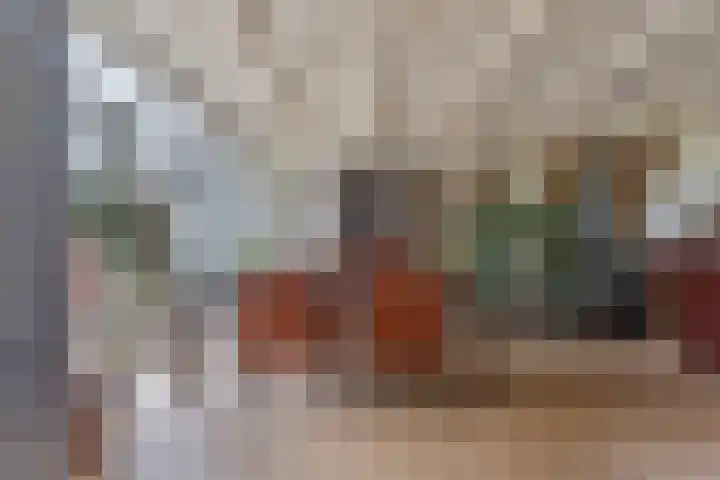 Graaf Lodewijkstraat 4 Zoetermeer thumbnail 10
