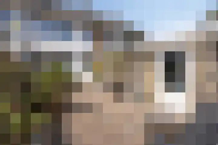 Graaf Lodewijkstraat 4 Zoetermeer thumbnail 35