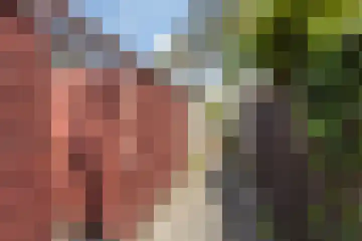 Graaf Lodewijkstraat 4 Zoetermeer thumbnail 42