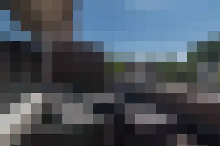 Graaf Lodewijkstraat 5 Zoetermeer thumbnail 15