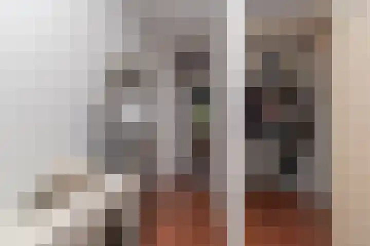 Graaf Lodewijkstraat 5 Zoetermeer thumbnail 25