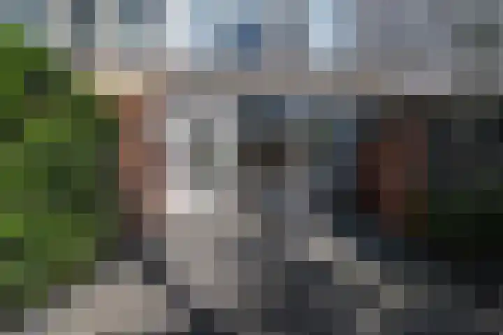 Graaf Lodewijkstraat 5 Zoetermeer thumbnail 29