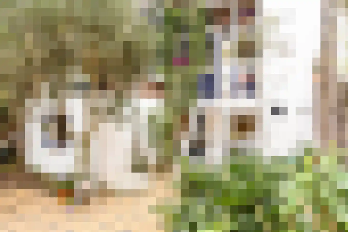 Graaf Lodewijkstraat 53 2 Arnhem thumbnail 18