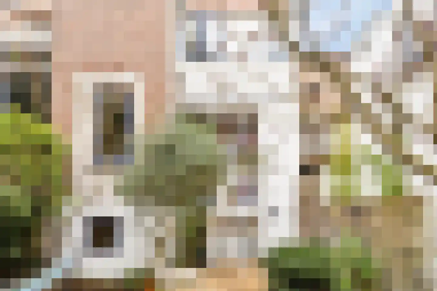 Graaf Lodewijkstraat 53 2 Arnhem thumbnail 23