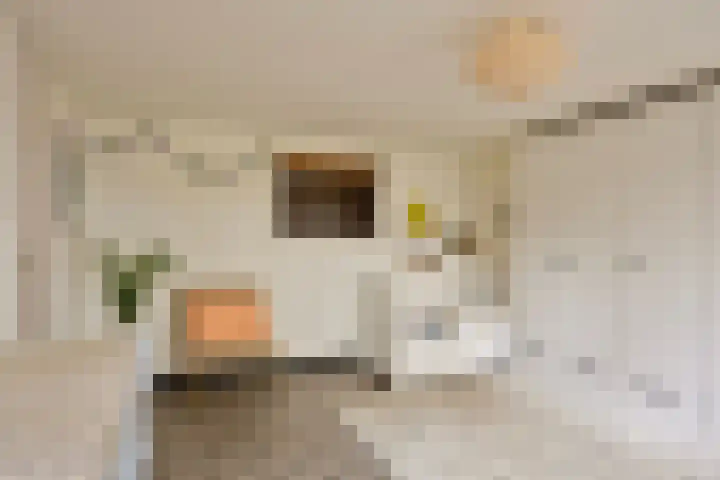 Graaf Lodewijkstraat 53 2 Arnhem thumbnail 30