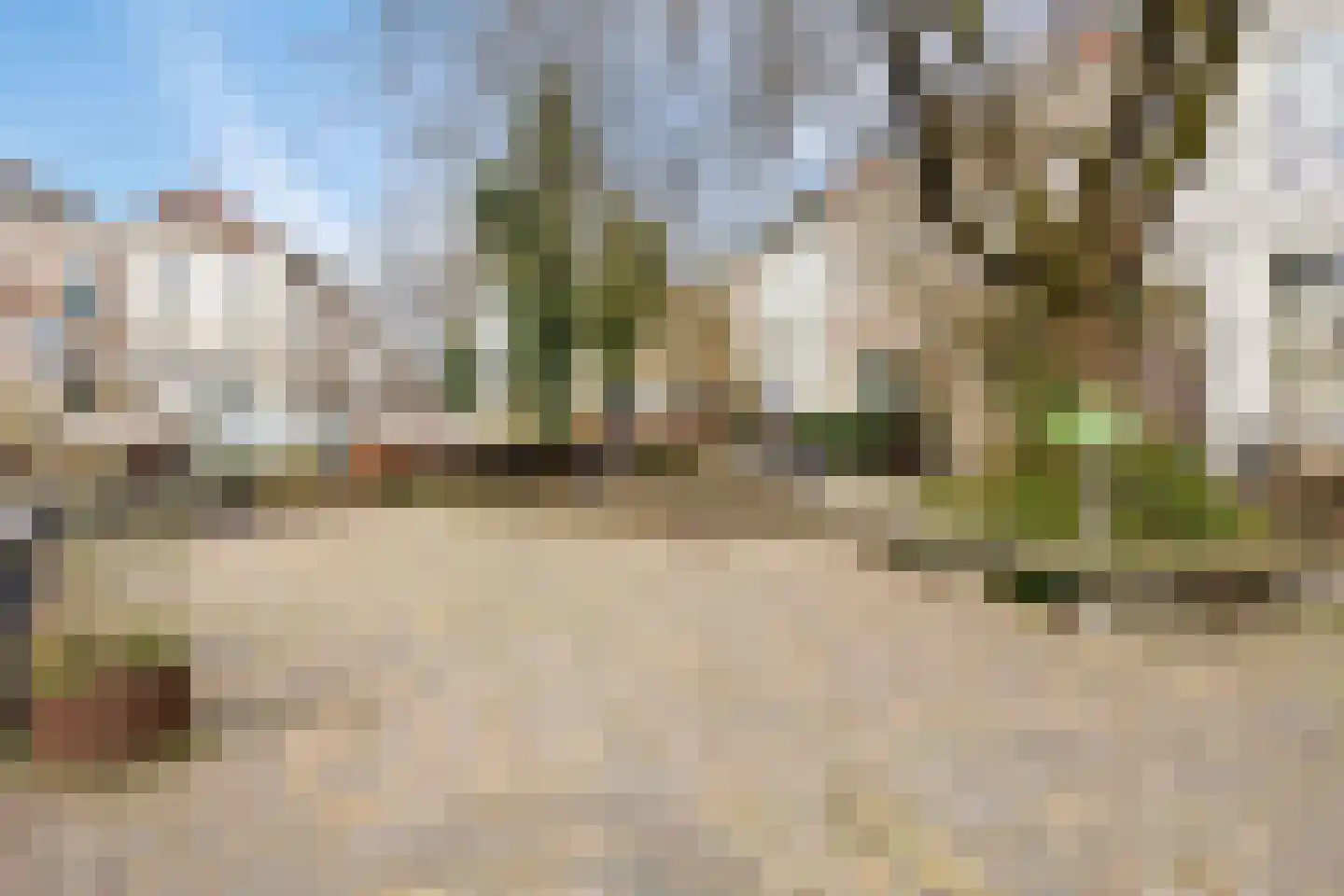 Graaf Lodewijkstraat 53 2 Arnhem thumbnail 37