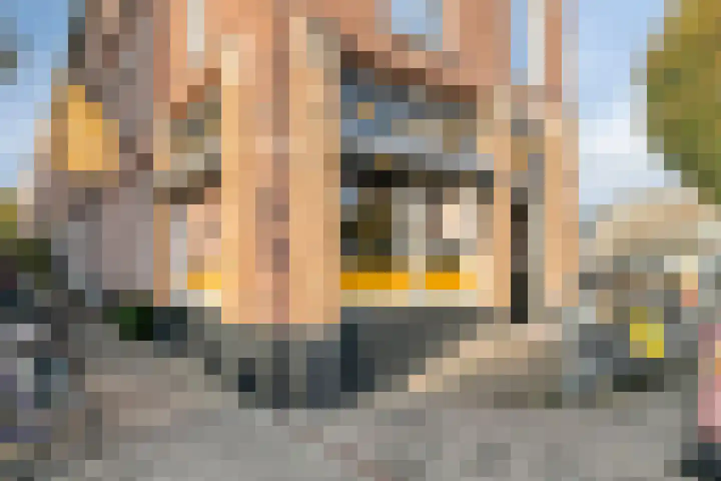 Graaf Lodewijkstraat 53 2 Arnhem thumbnail 39