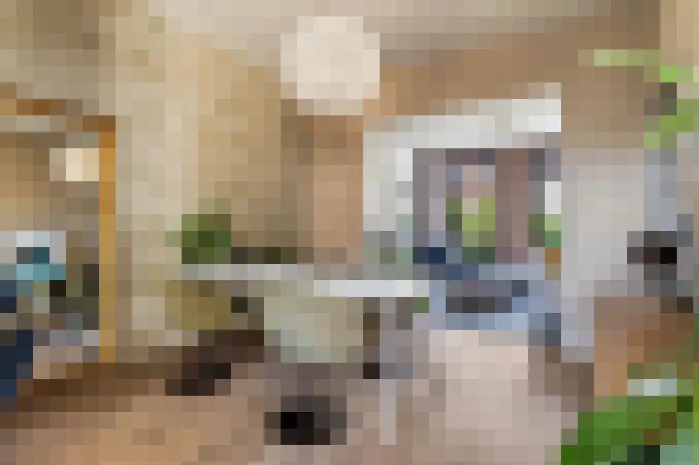 Graaf Lodewijkstraat 61 Arnhem thumbnail 8