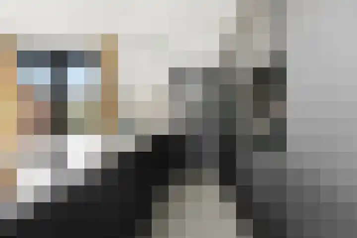 Graaf Lodewijkstraat 8 Ridderkerk thumbnail 17