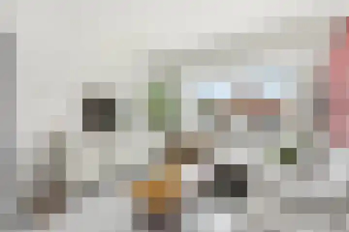 Graaf Lodewijkstraat 8 Ridderkerk thumbnail 4