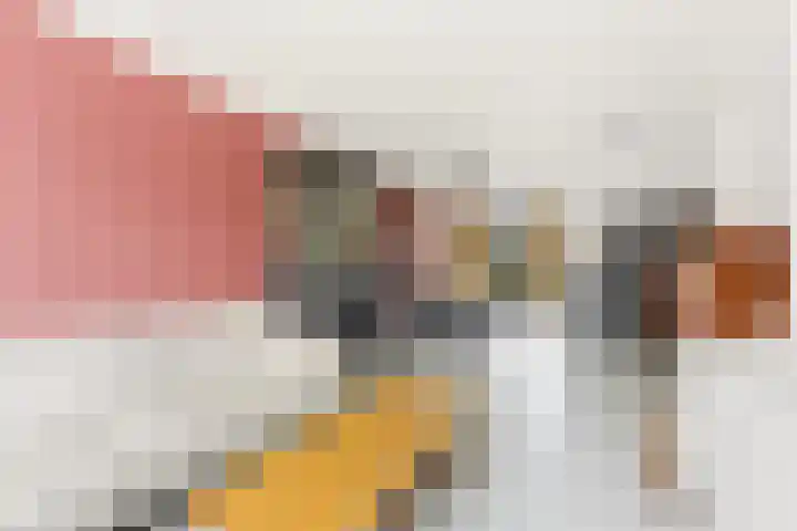 Graaf Lodewijkstraat 8 Ridderkerk thumbnail 6