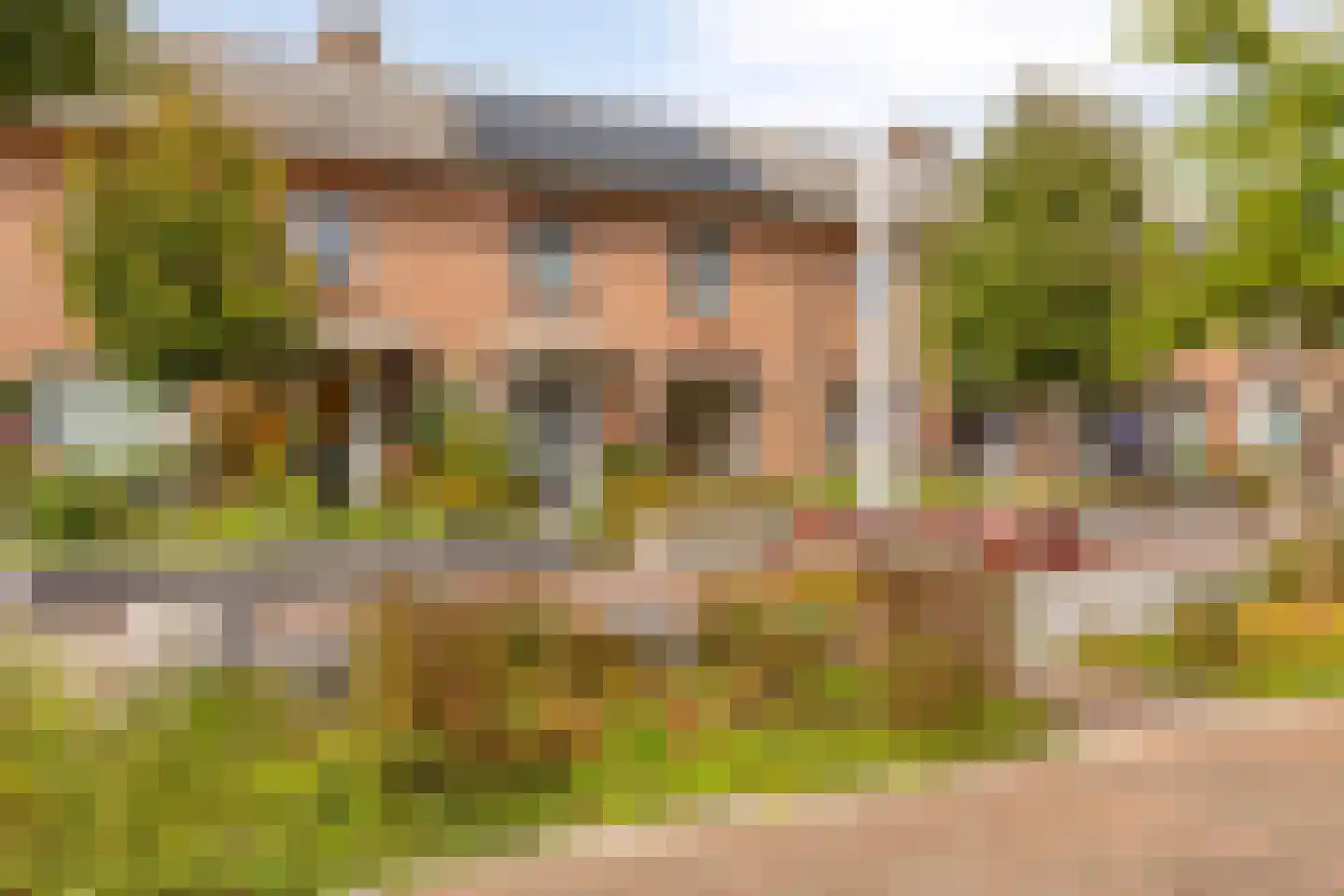 Graaf Maurits-Lodewijkstraat 11 Sint-Oedenrode thumbnail 43