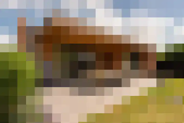 Graaf Moretuslaan 15 Putte foto 2