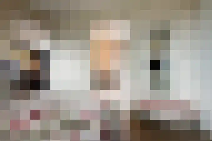 Graaf Moretuslaan 15 Putte thumbnail 21