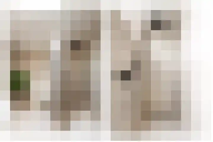 Graaf Moretuslaan 15 Putte thumbnail 25