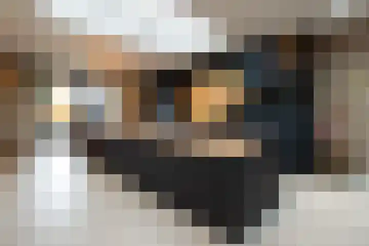 Graaf Moretuslaan 15 Putte foto 3