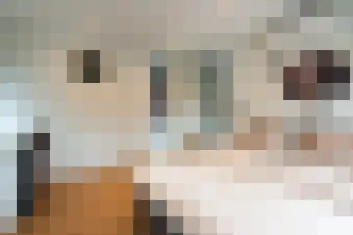Graaf Moretuslaan 15 Putte thumbnail 33
