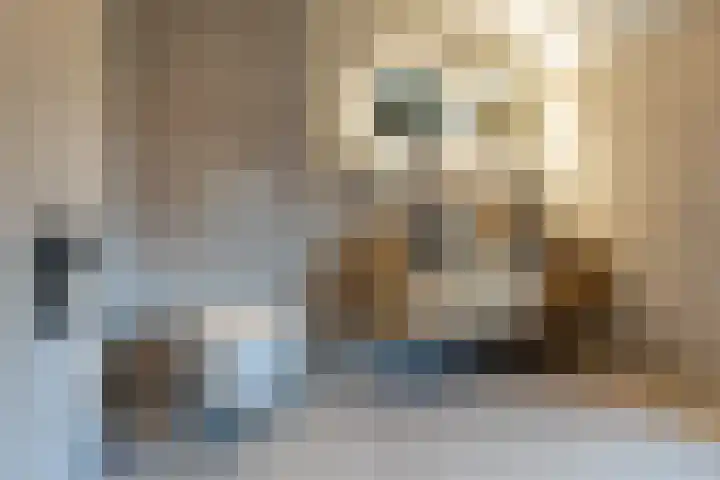 Graaf Moretuslaan 15 Putte thumbnail 37