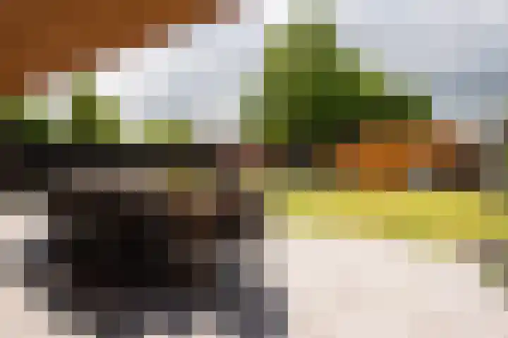 Graaf Moretuslaan 15 Putte thumbnail 4