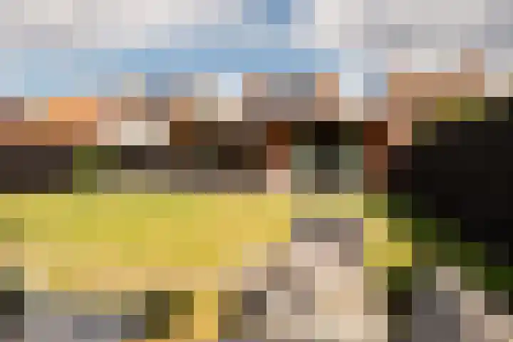 Graaf Moretuslaan 15 Putte thumbnail 41