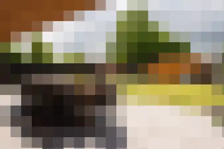 Graaf Moretuslaan 15 Putte thumbnail 44