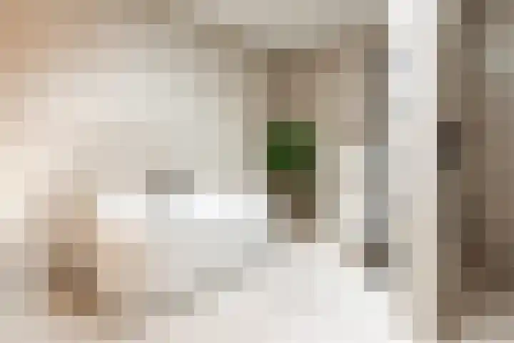 Graaf Moretuslaan 15 Putte thumbnail 5
