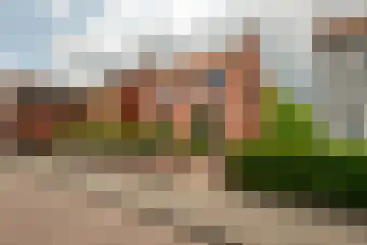 Graaf Moretuslaan 15 Putte thumbnail 50