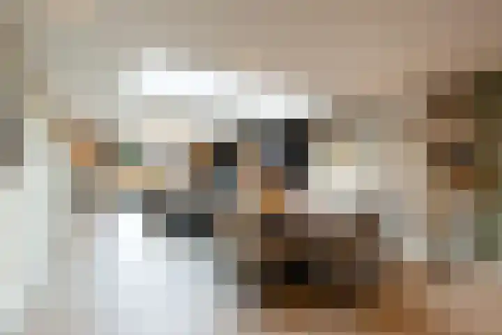 Graaf Moretuslaan 15 Putte thumbnail 6