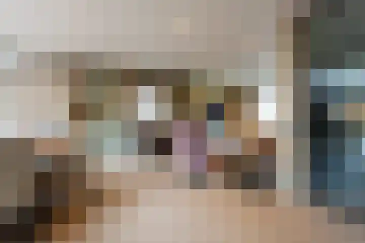 Graaf Moretuslaan 15 Putte thumbnail 7