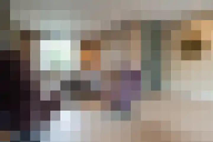 Graaf Moretuslaan 15 Putte thumbnail 9