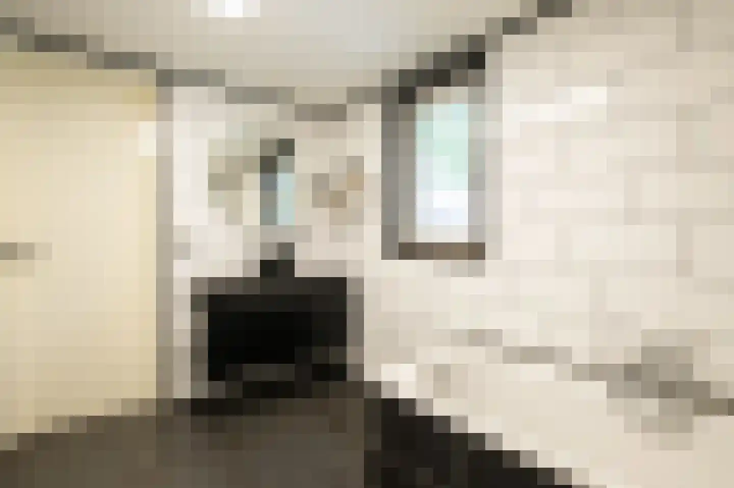 Graaf Moretuslaan 2 Putte thumbnail 14