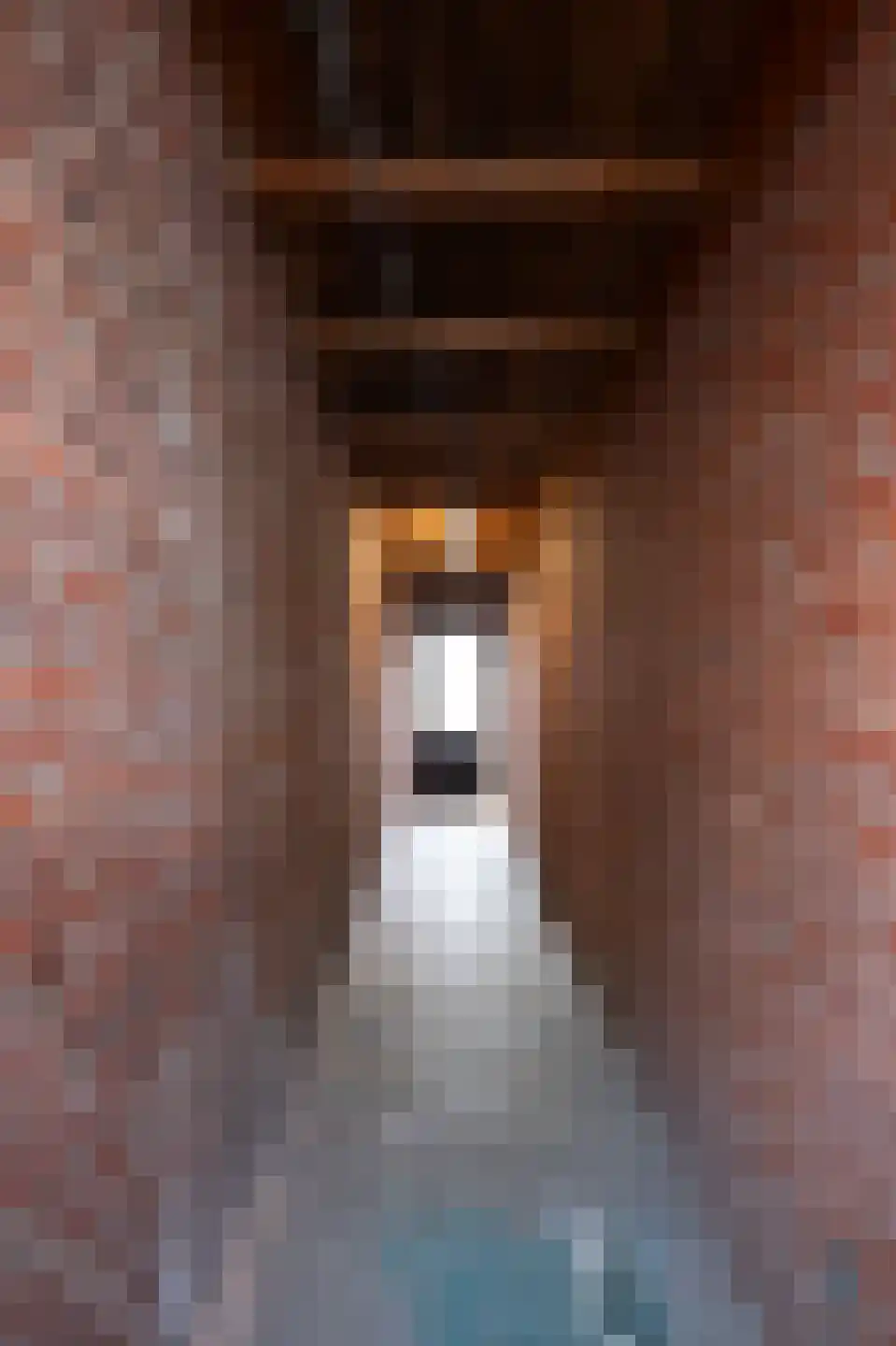 Graaf Moretuslaan 2 Putte thumbnail 26