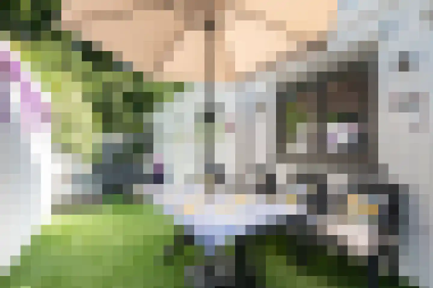 Graaf Moretuslaan 2 Putte thumbnail 27